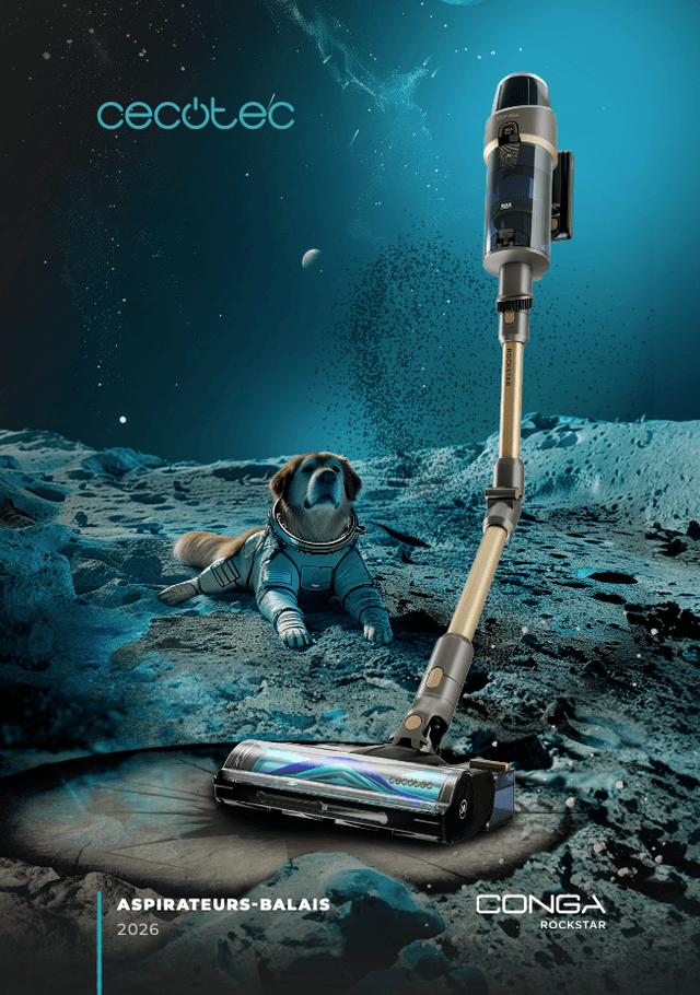 Aspirateur vertical Rockstar