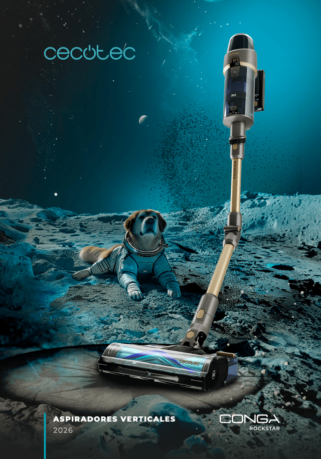 Aspirador vertical Rockstar